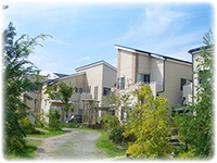 シティサイエンス